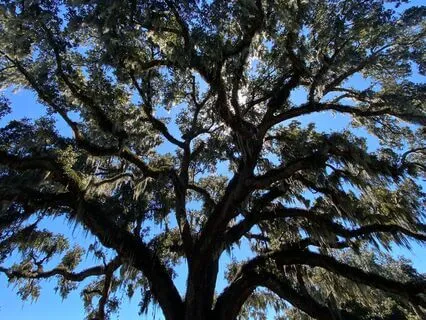 Grounding Meditation For Taking Your Power Back