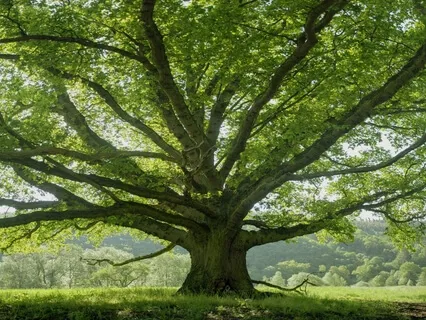 Grounding Meditation For Uncertain Times