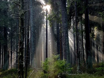 Grounding Meditation - Inhale Inspiration & Exhale Inhibition