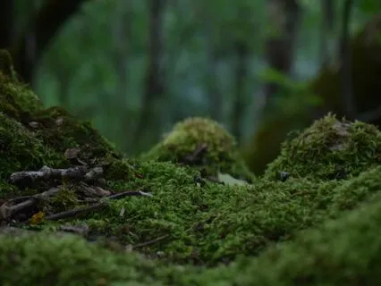 Grounding Meditation: Present Moment & Find Inner Peace