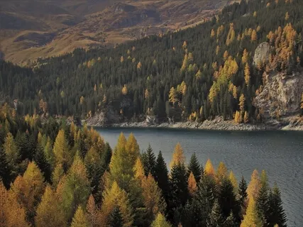 Grounding Meditation: Returning To Presence