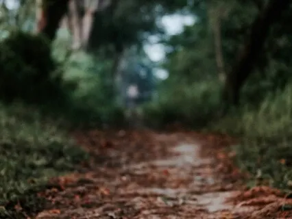 Grounding Meditation To Calm An Anxious Or Stressed Mind