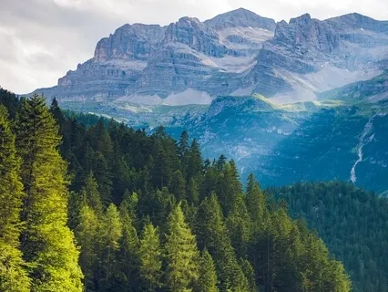 Grounding Meditation To Connect To The Earth