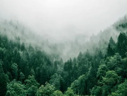 Grounding Meditation To Connect With The Earth