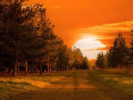 Grounding Meditation To Embrace The Present Moment