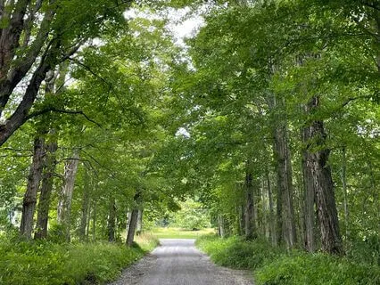 Grounding Meditation To Soothe Your Nervous System