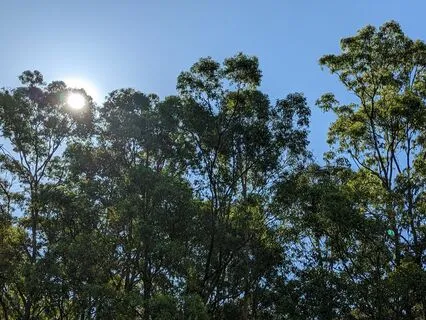 Grounding Meditation To Start Your Day