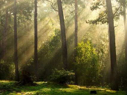 Grounding Meditation To Stop Doom Scrolling