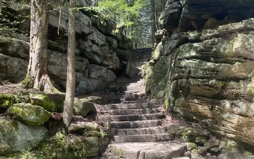 Grounding Meditation - Tranquility To Ease Racing Thoughts