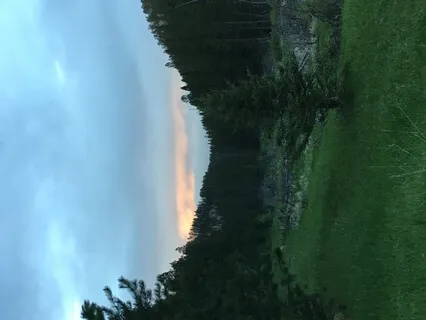 Grounding Meditation (Tree Meditation)