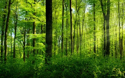 Grounding Meditation Using Body Awareness & Breath