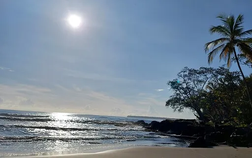 Grounding Meditation With Affirmations