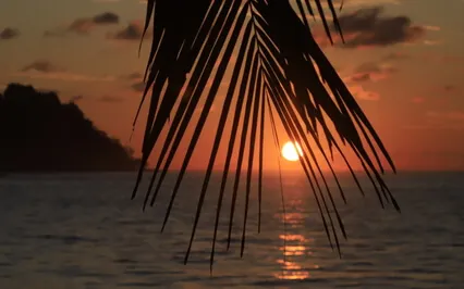 Grounding Meditation With Somatic Cues