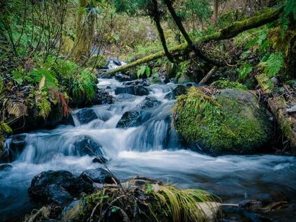 Grounding Meditation