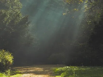 Grounding Meditation