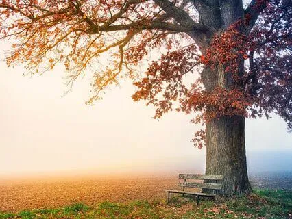 Grounding Meditation