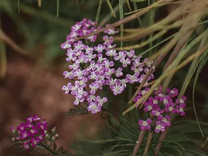 Grounding Meditation
