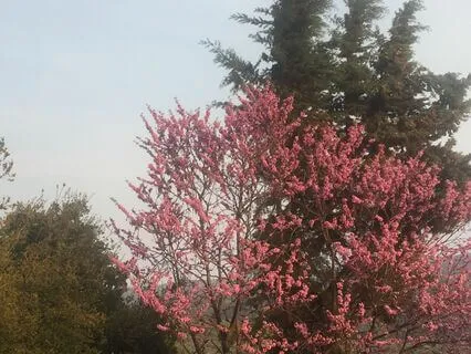 Grounding Meditation