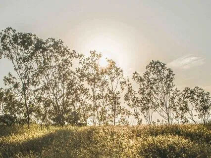 Grounding Meditation