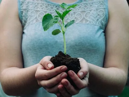 Ground Into The Earth To Cultivate Stillness And Calm