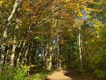 Grounding Mindfulness Meditation