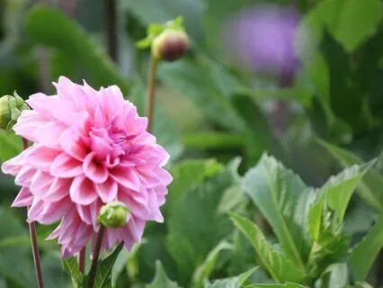 Grounding Morning Meditation