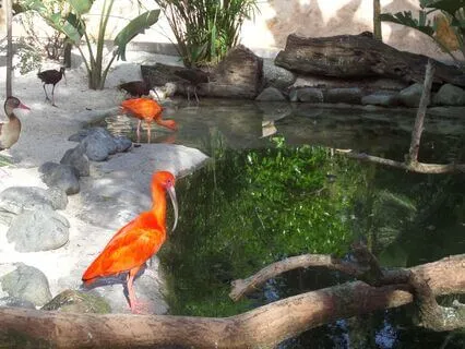 Ground, Empower & Inner Strength (No Music)