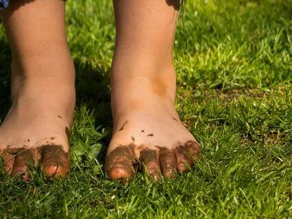 Grounding Path To The Inner World