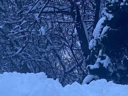 Grounding Piano & Earth Drum For Deep Relaxation