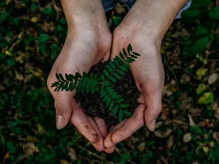 Grounding + Earthing Meditation 