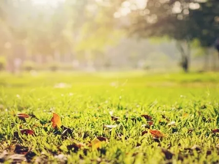 Grounding Poses: Whole Body Flow