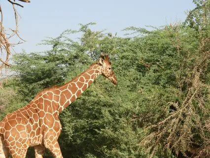 Grounding, Positivity And Awakening Music