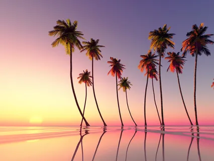 54321 - Grounding (DBT)