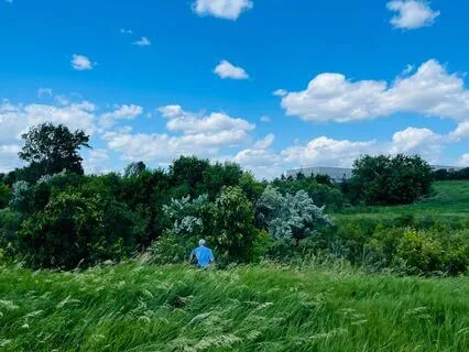 Grounding Practice - Elemental Purification Breath