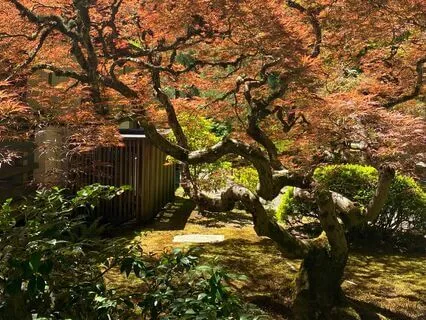 Grounding Practice For Coming Back To Your Center