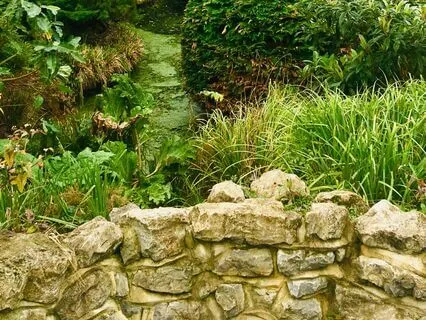 Grounding Practice For Letting Go Of Control