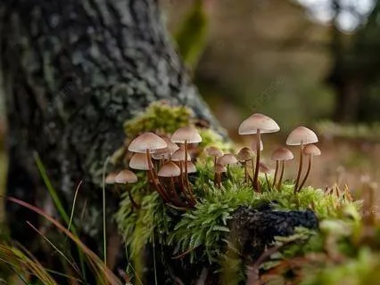 Grounding Practice For Performance Anxiety (Abridged)