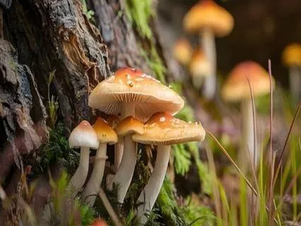 Grounding Practice For Performance Anxiety