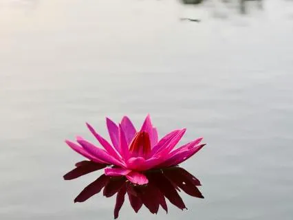 Grounding Practice For When Everything Feels Too Much