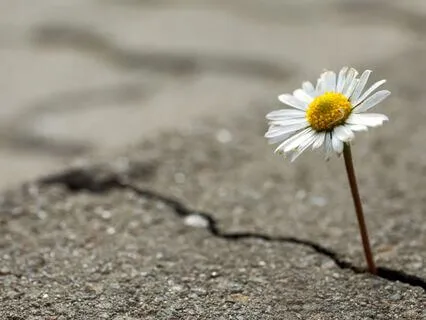 Grounding Present State Awareness Meditation