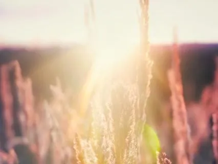 Grounding Reiki Meditation For Stress Relief