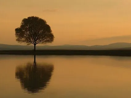 Grounding Reminiscence - Navigating Loss And Finding Peace