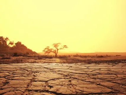 Grounding Root Chakra Meditation