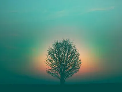 Grounding Roots & Gravity With Brainspotting Bilateral Music