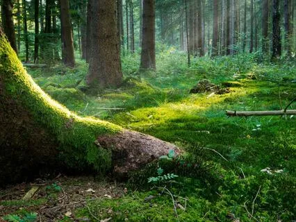 Grounding & Running Your Energy Daily Practice