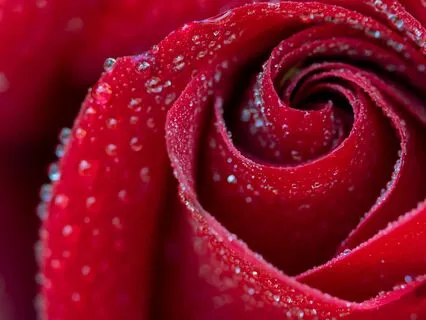 Grounding & Security (Root Chakra) Just Affirmations