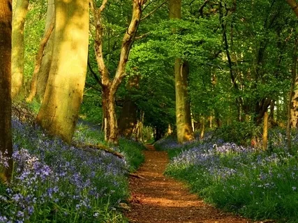 Grounding Self-Care Meditation