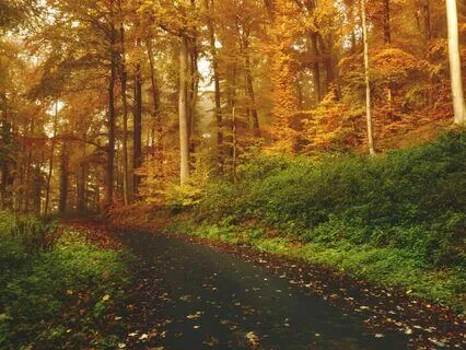 Grounding Shamanic Drumming With Delta Binaural Beats