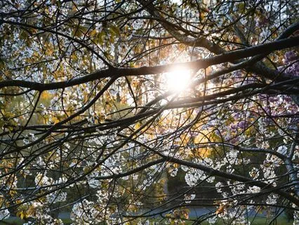 Grounding Sighing Practice For When You Need Soothing