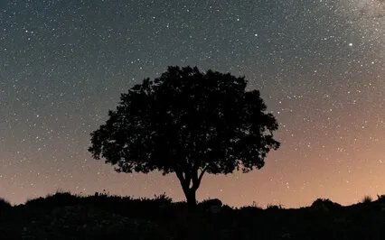 Grounding Sleep Nidra To Release And Let Go